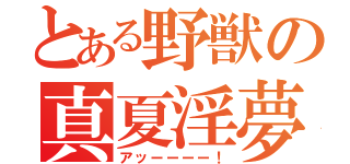 とある野獣の真夏淫夢（アッーーーー！）