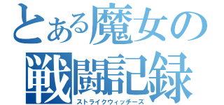 とある魔女の戦闘記録（ストライクウィッチーズ）