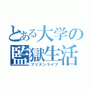 とある大学の監獄生活（プリズンライフ）