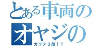 とある車両のオヤジの因縁（カラテ３段！？）