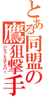 とある同盟の鷹狙撃手（パケットスナイパー）