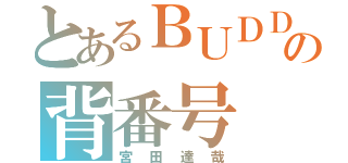 とあるＢＵＤＤＹの背番号 ２７（宮 田 達 哉）