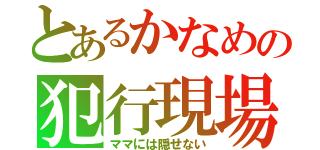 とあるかなめの犯行現場（ママには隠せない）