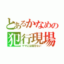 とあるかなめの犯行現場（ママには隠せない）