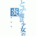 とある魔法少女の炎（ホムラ）