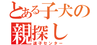 とある子犬の親探し（迷子センター）