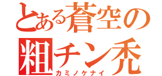 とある蒼空の粗チン禿（カミノケナイ）