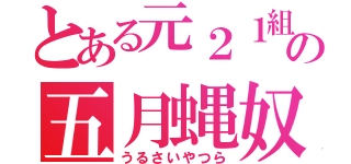 とある元２１組の五月蝿奴（うるさいやつら）