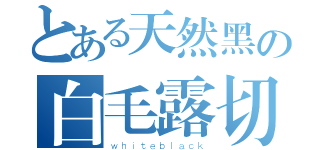 とある天然黑の白毛露切（ｗｈｉｔｅｂｌａｃｋ）