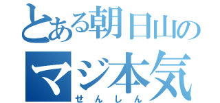 とある朝日山のマジ本気（せんしん）