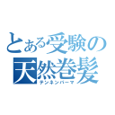 とある受験の天然巻髪（テンネンパーマ）