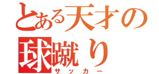 とある天才の球蹴り（サッカー）