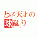 とある天才の球蹴り（サッカー）