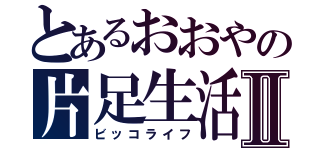 とあるおおやの片足生活Ⅱ（ビッコライフ）