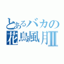 とあるバカの花鳥風月Ⅱ（）