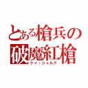 とある槍兵の破魔紅槍（ゲイ・ジャルグ）