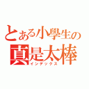 とある小學生の真是太棒（インデックス）