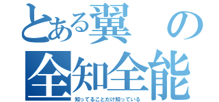 とある翼の全知全能（知ってることだけ知っている）