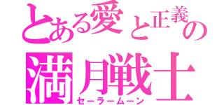 とある愛と正義の満月戦士（セーラームーン）