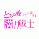 とある愛と正義の満月戦士（セーラームーン）