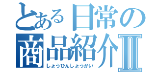 とある日常の商品紹介Ⅱ（しょうひんしょうかい）