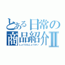 とある日常の商品紹介Ⅱ（しょうひんしょうかい）