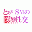 とあるＳＭの陵辱性交（ＳＭプレイ）