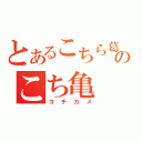 とあるこちら葛飾区亀有公園前派出所のこち亀（コチカメ）