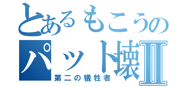 とあるもこうのパット壊Ⅱ（第二の犠牲者）