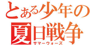 とある少年の夏日戦争（サマーウォーズ）