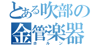 とある吹部の金管楽器（ホルン）