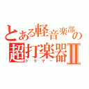 とある軽音楽部の超打楽器隊Ⅱ（ドラマー）