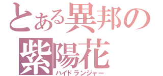 とある異邦の紫陽花（ハイドランジャー）