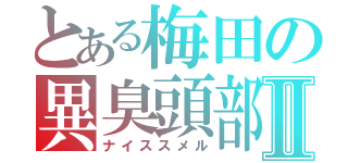 とある梅田の異臭頭部Ⅱ（ナイススメル）