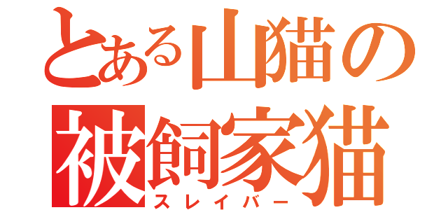 とある山猫の被飼家猫（スレイバー）