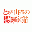 とある山猫の被飼家猫（スレイバー）