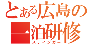 とある広島の一泊研修（ステインガー）