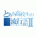 とある高校生の　流行語Ⅱ（リウカウゴ）