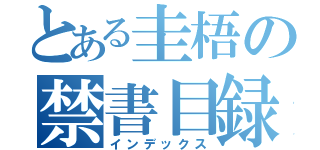 とある圭梧の禁書目録（インデックス）