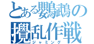 とある鸚鵡の攪乱作戦（ジャミング）