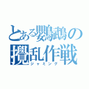 とある鸚鵡の攪乱作戦（ジャミング）