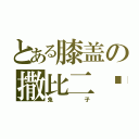 とある膝盖の撒比二货（兔子）