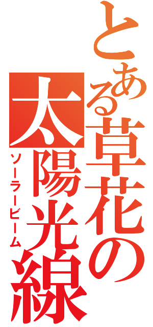 とある草花の太陽光線（ソーラービーム）