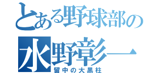 とある野球部の水野彰一郎（留中の大黒柱）