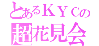 とあるＫＹＣの超花見会（）