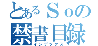 とあるＳｏの禁書目録（インデックス）