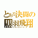 とある決闘の黒羽飛翔（ブラックバード）