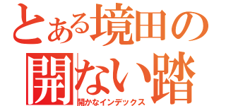 とある境田の開ない踏切（開かなインデックス）