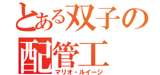 とある双子の配管工（マリオ・ルイージ）