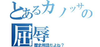 とあるカノッサの屈辱（歴史用語だよね？）